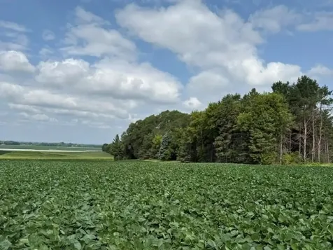 Lot B Lehigh Road Cottage Grove MN 55016