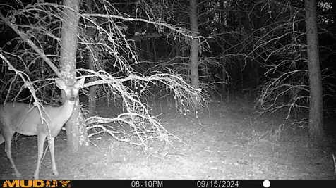 4130 4th Street NW Backus MN 56435