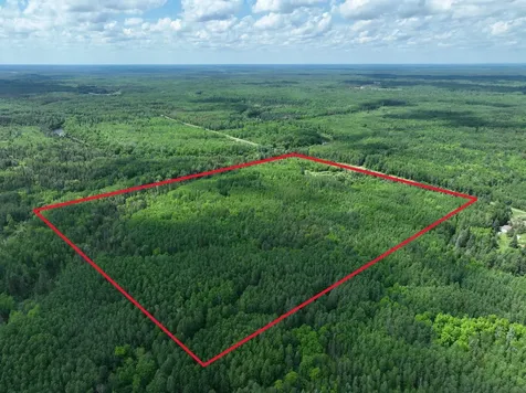 Tbd Town 43 Road E Littlefork MN 56653