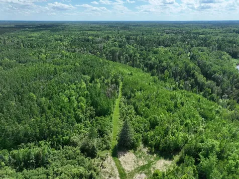 Tbd Town 43 Road E Littlefork MN 56653