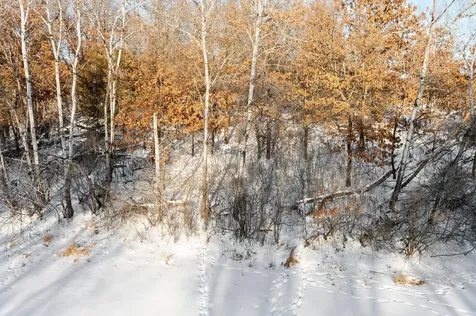 Lot 5 Central Drive NE Cambridge MN 55008