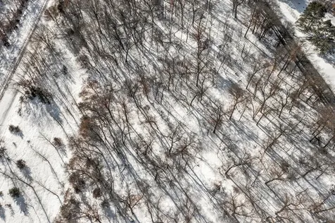 Lot 5 Central Drive NE Cambridge MN 55008