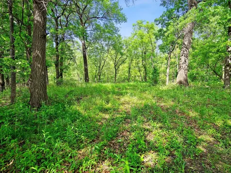 Lot 5 Central Drive NE Cambridge MN 55008