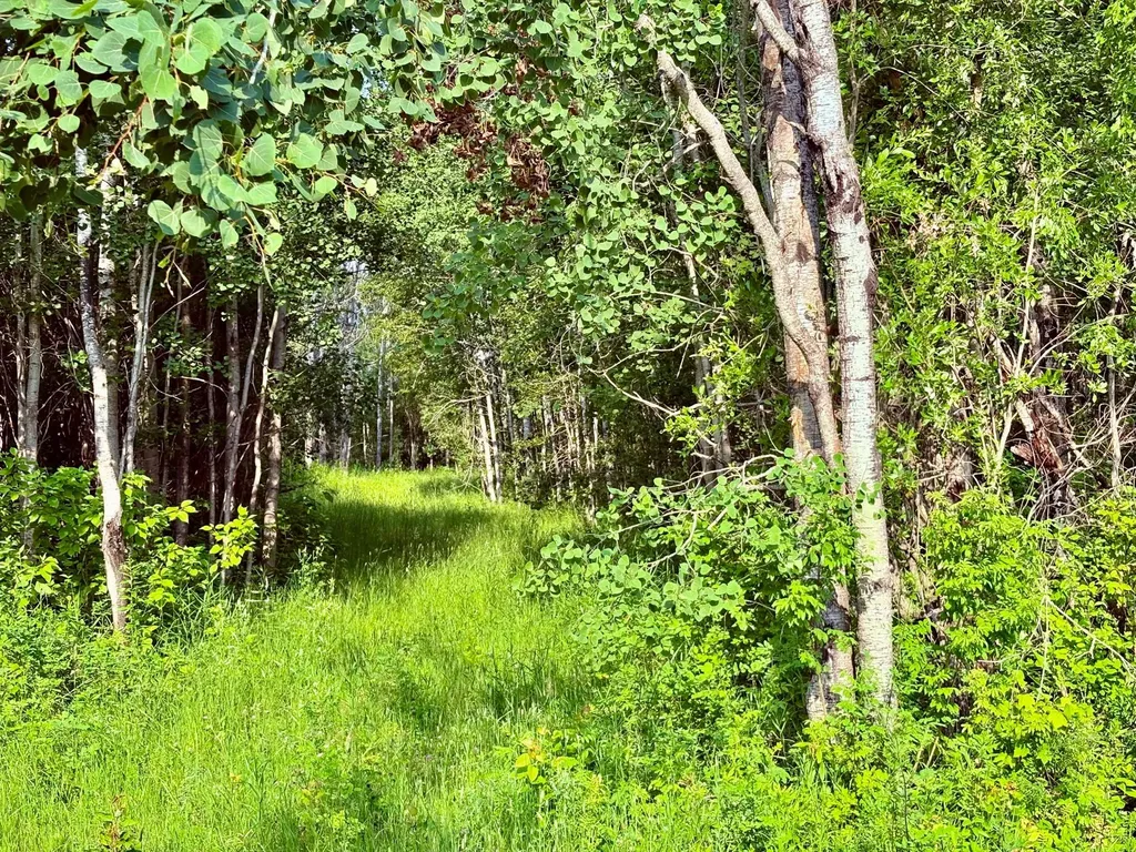 Tbd 21st Ave SW Baudette MN 56623