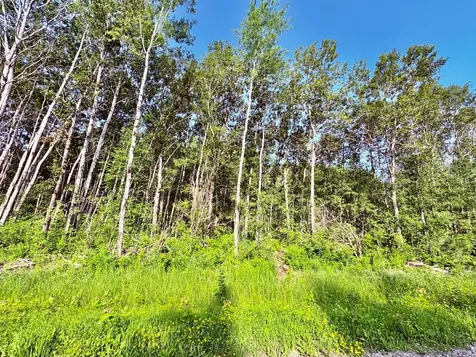 Tbd 21st Ave SW Baudette MN 56623