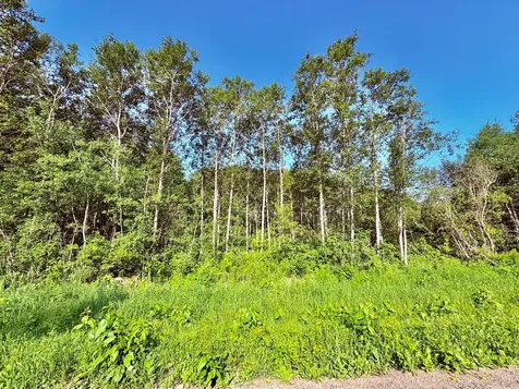 Tbd 21st Ave SW Baudette MN 56623