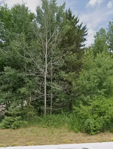 Lot 15 Pine Street Brainerd MN 56401