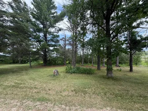 42869 County 2 Leonard MN 56652
