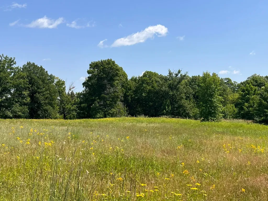 36200 County Road 39 Laporte MN 56461