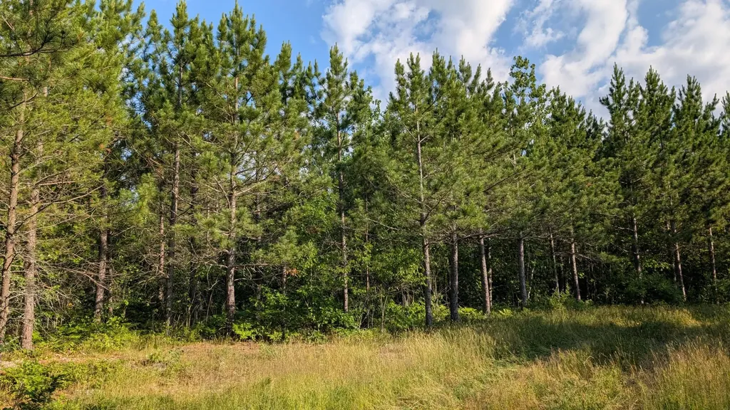 Lot C Highway 24 Orr MN 55771
