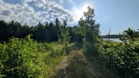 Lot C Highway 24 Orr MN 55771