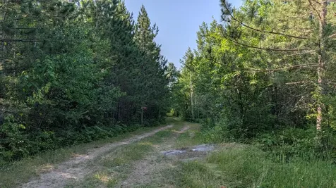 Lot C Highway 24 Orr MN 55771