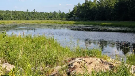 Lot C Highway 24 Orr MN 55771