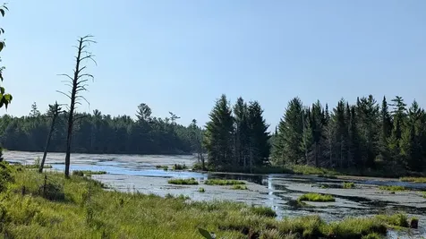 Lot C Highway 24 Orr MN 55771