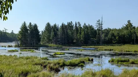 Lot C Highway 24 Orr MN 55771