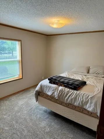 1206 Viking Drive Olivia MN 56277