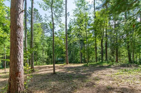 5778 S Bass Lake Road NE Remer MN 56662