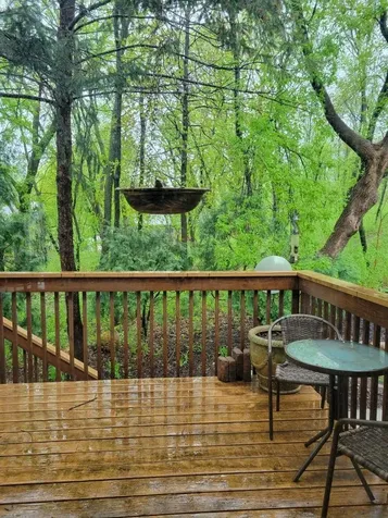 293 River Woods Lane Burnsville MN 55337