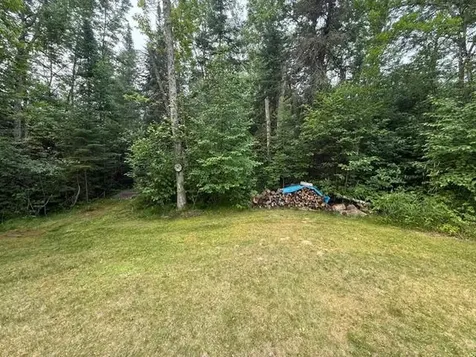 12219 Teufer Lake Road Northome MN 56661