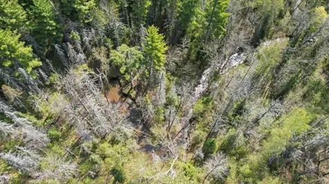 1774 Highway 2 Two Harbors MN 55616