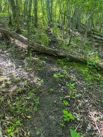 Tbd Sunset Trail Welch MN 55089