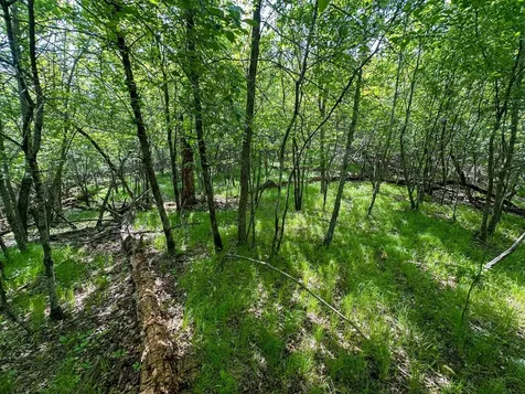 Tbd Sunset Trail Welch MN 55089