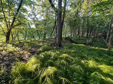 Tbd Sunset Trail Welch MN 55089