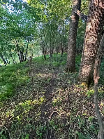 Tbd Sunset Trail Welch MN 55089