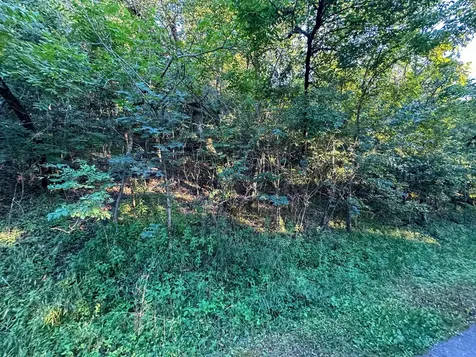 Tbd Sunset Trail Welch MN 55089
