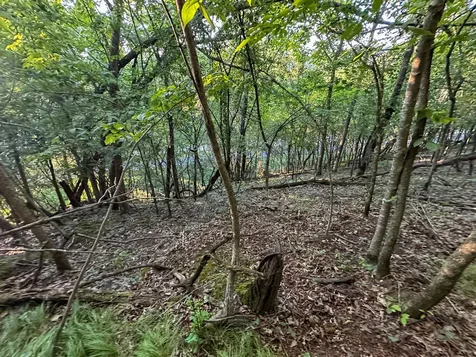 Tbd Sunset Trail Welch MN 55089