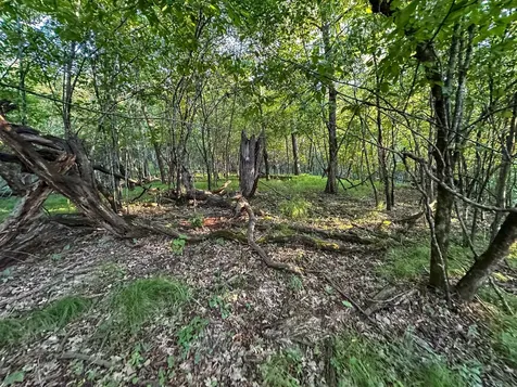 Tbd Sunset Trail Welch MN 55089