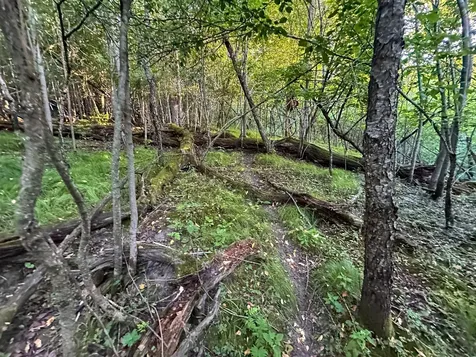 Tbd Sunset Trail Welch MN 55089
