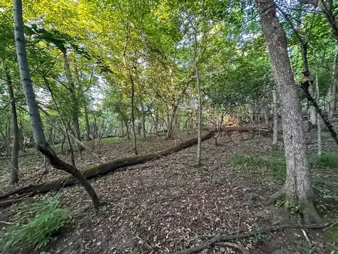 Tbd Sunset Trail Welch MN 55089