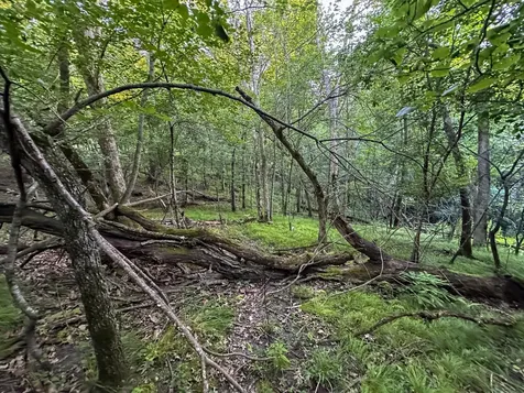 Tbd Sunset Trail Welch MN 55089