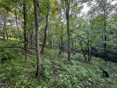 Tbd Sunset Trail Welch MN 55089