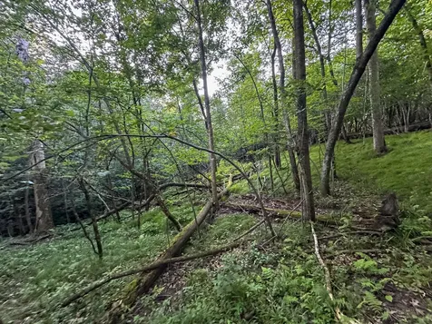 Tbd Sunset Trail Welch MN 55089