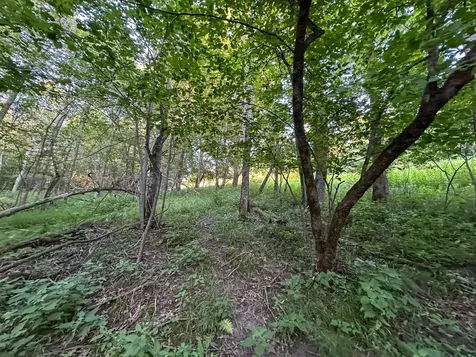Tbd Sunset Trail Welch MN 55089