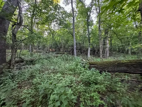 Tbd Sunset Trail Welch MN 55089