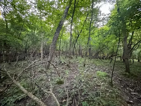 Tbd Sunset Trail Welch MN 55089