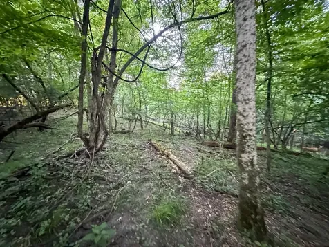 Tbd Sunset Trail Welch MN 55089