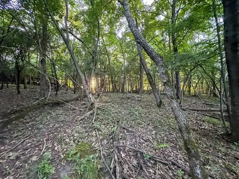 Tbd Sunset Trail Welch MN 55089