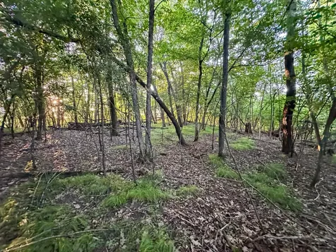 Tbd Sunset Trail Welch MN 55089