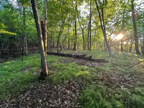 Tbd Sunset Trail Welch MN 55089