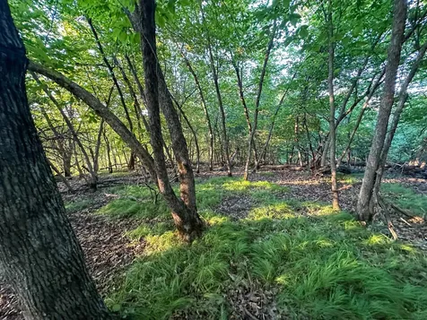 Tbd Sunset Trail Welch MN 55089