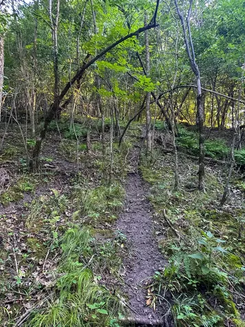 Tbd Sunset Trail Welch MN 55089