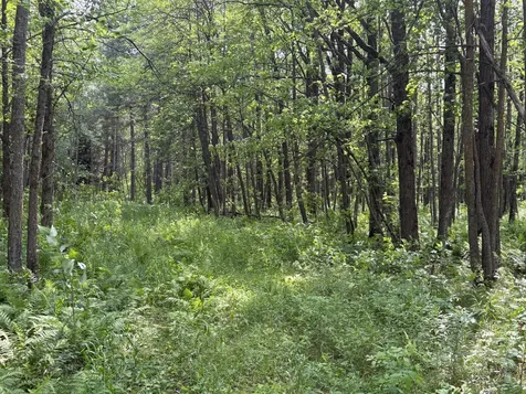 560TH Street Palisade MN 56469