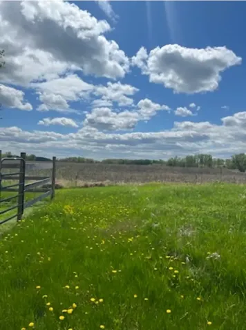 8XXX 200th Street Forest Lake MN 55025