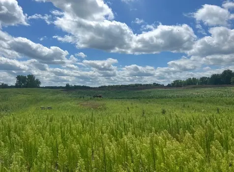 8XXX 200th Street Forest Lake MN 55025