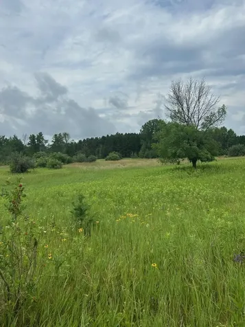 8XXX 200th Street Forest Lake MN 55025