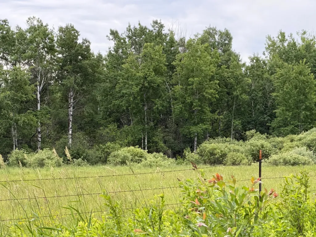 Tbd Highway 65 Nashwauk MN 55769